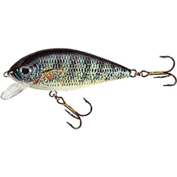 Jaxon Wobler HS Karaś 5,5cm FO